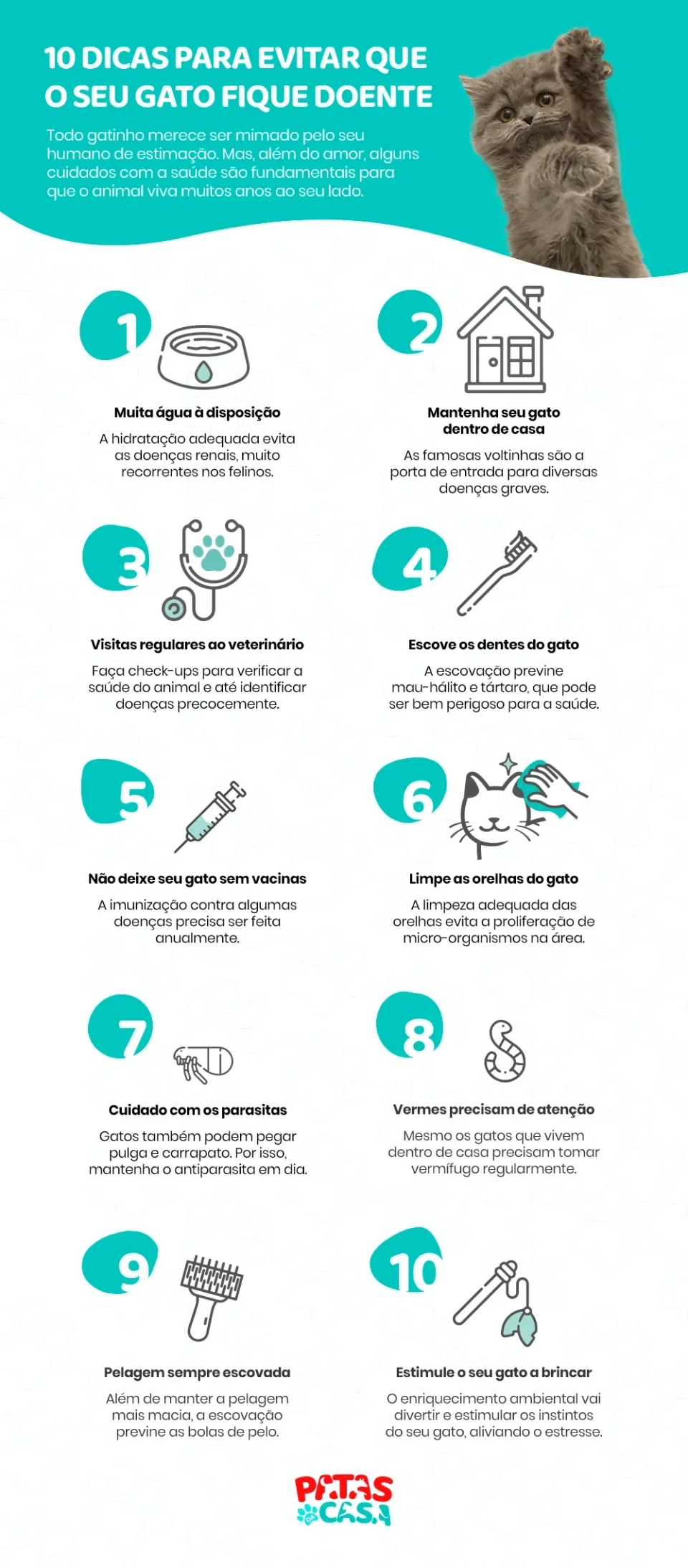 Infográfico com dicas para evitar que gato fique doente