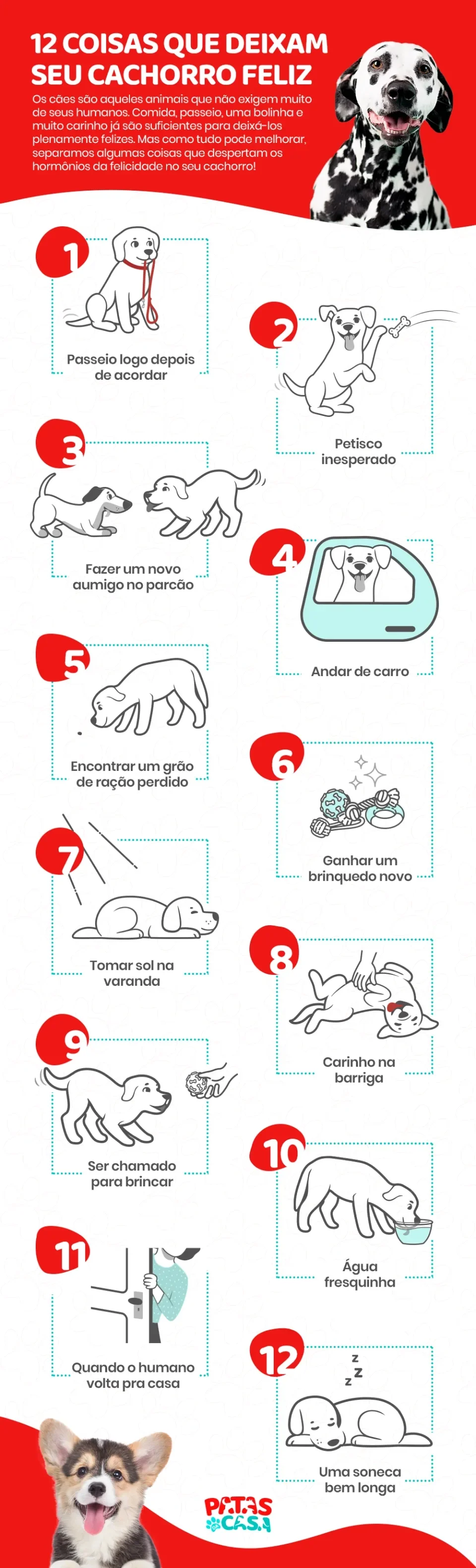 Infográfico mostrando as coisas que mais deixam cachorro feliz