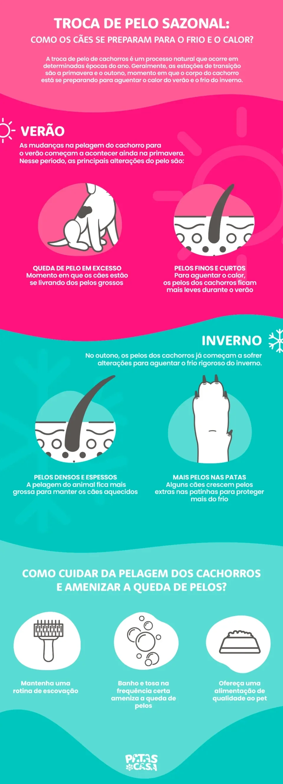 infográfico sobre a troca de pelos dos cachorros no outono e primavera