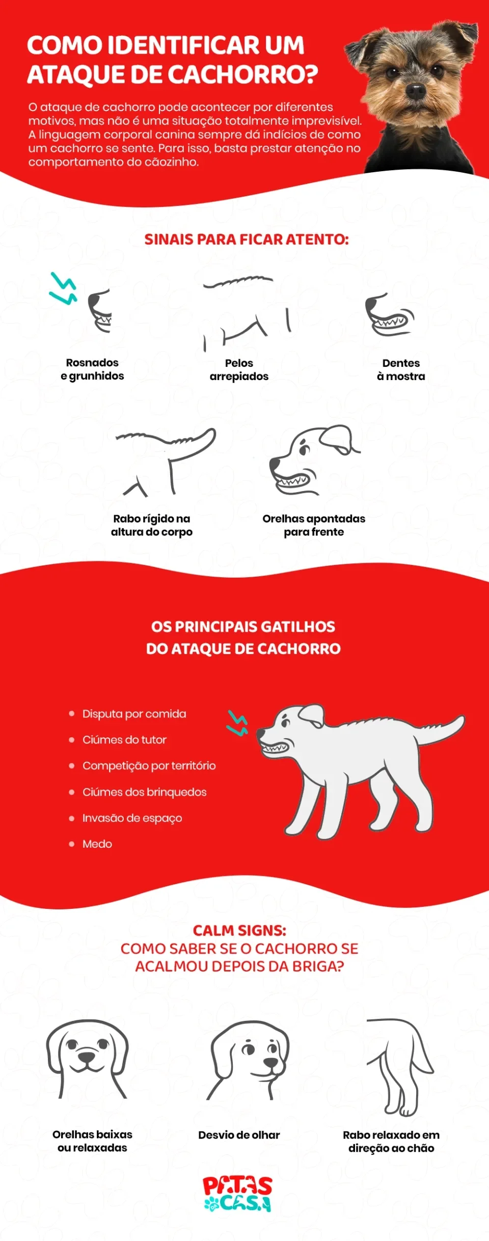 Infográfico mostrando como identificar um ataque de cachorro