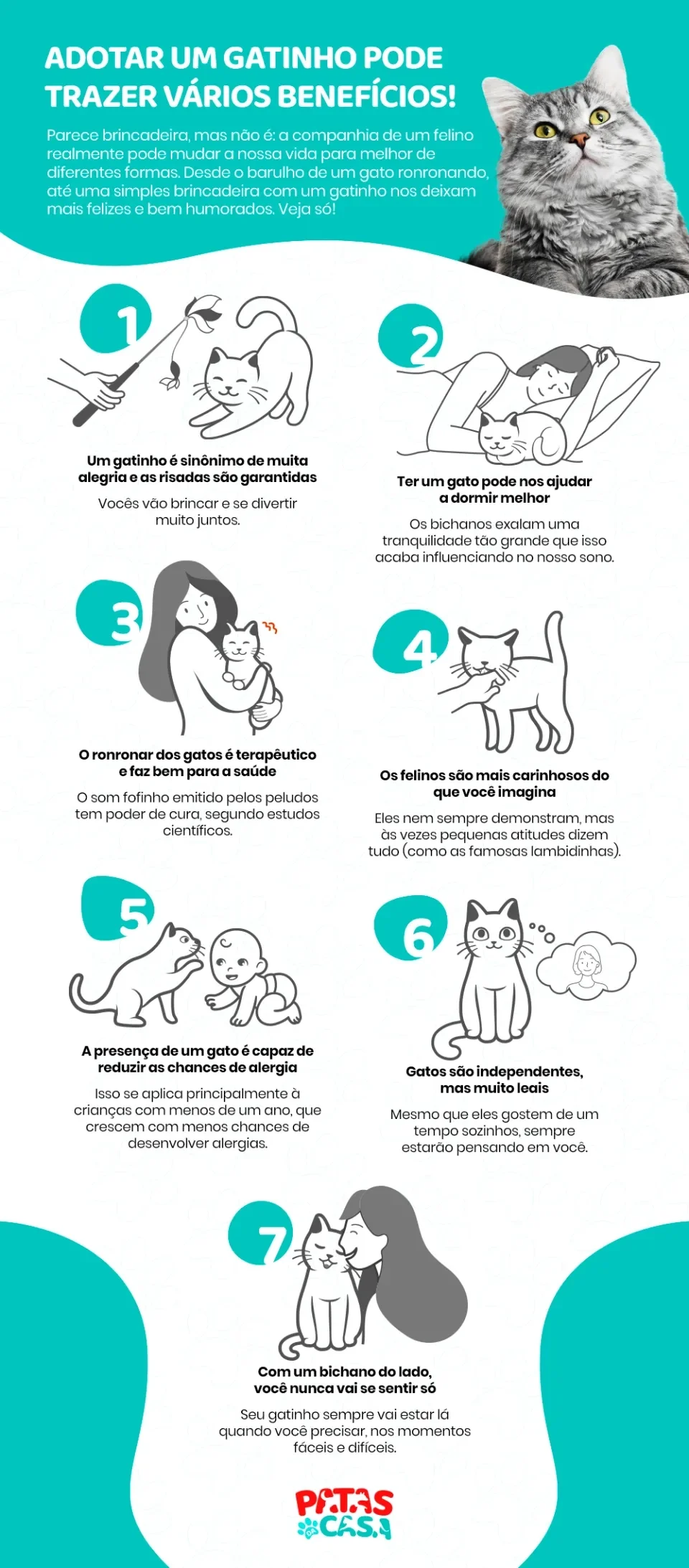 Infográfico com benefícios de ter um gato em casa