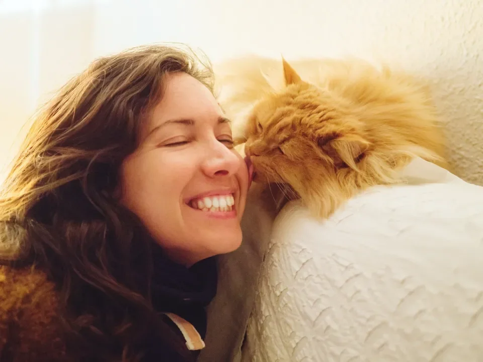 Mulher sorrindo ao receber lambida no rosto de gato amarelo