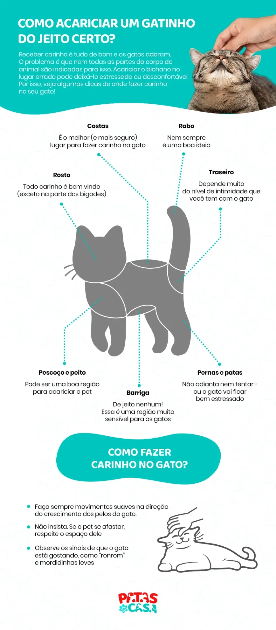 Infográfico mostrando como acariciar um gatinho do jeito certo