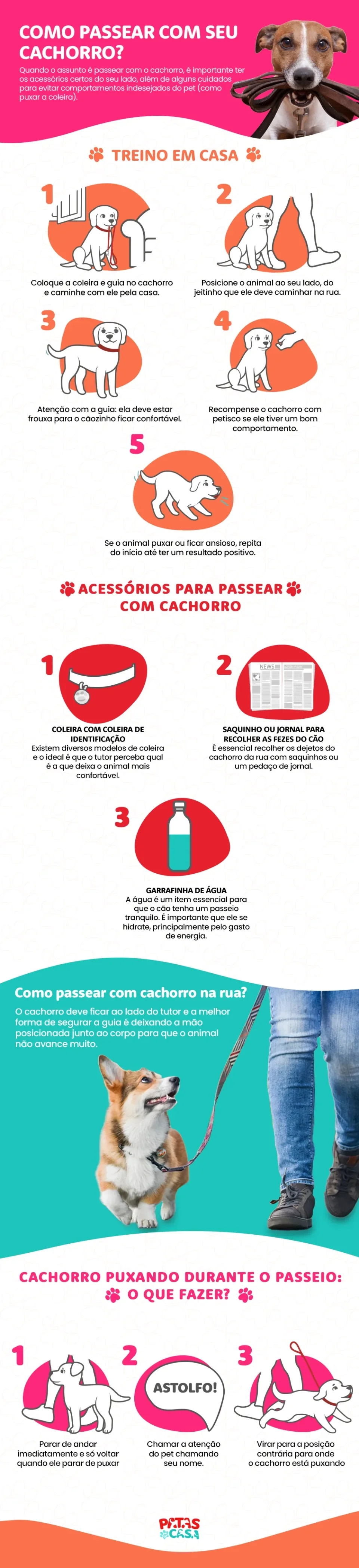 infográfico de como passear com cachorro