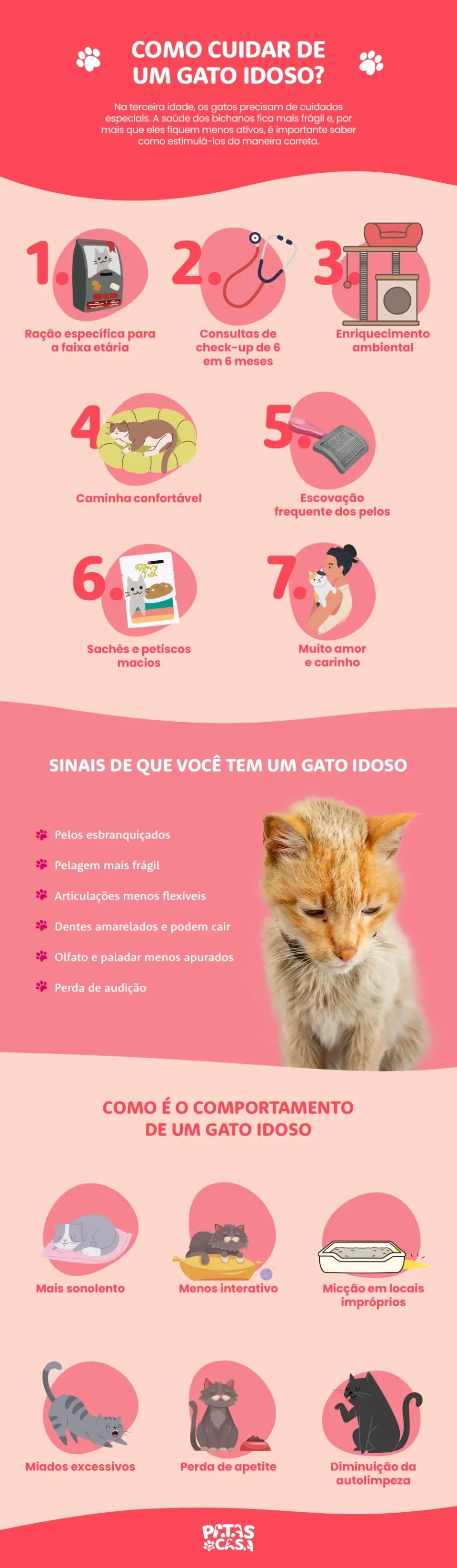 Bloco informativo mostrando como cuidar de gato idoso