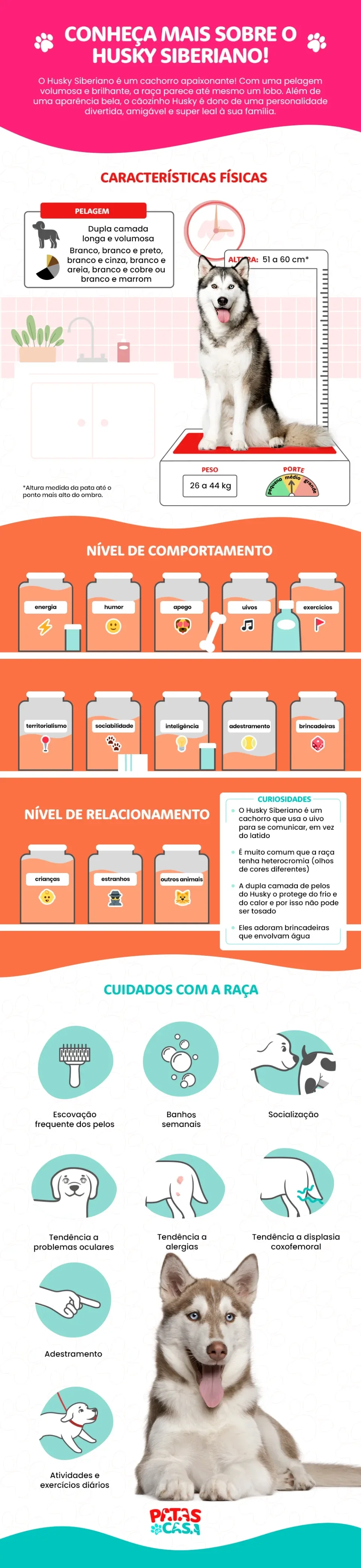 infográfico com informações sobre a raça Husky Siberiano