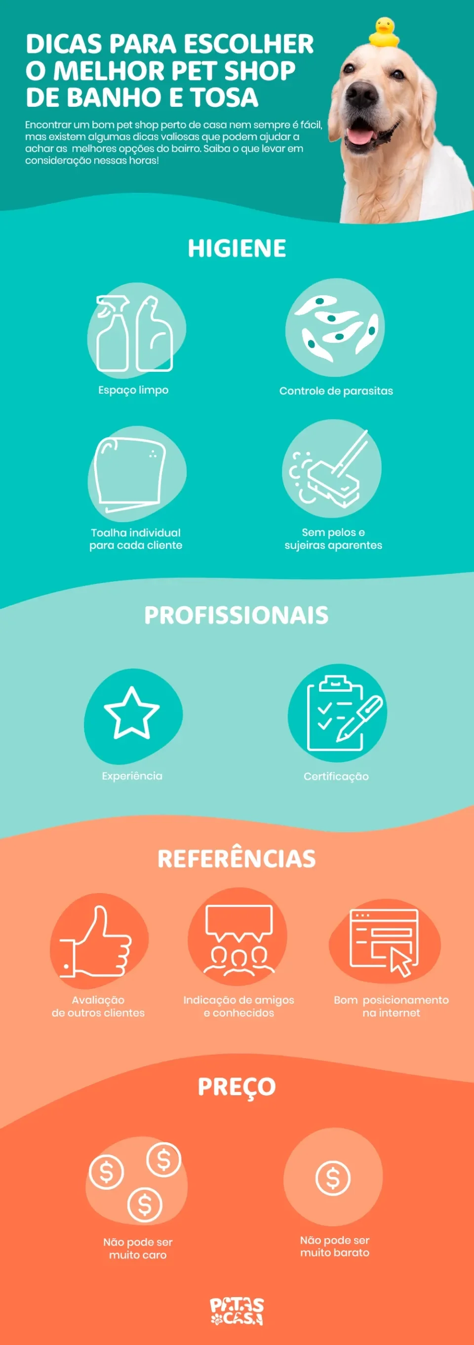 Infográfico mostrando como escolher o melhor per shop de banho e tosa