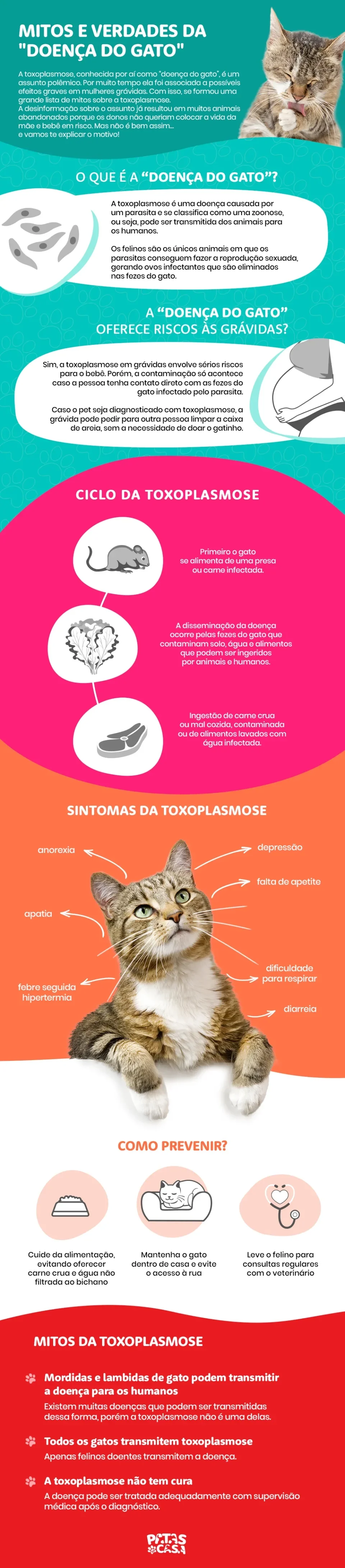 Infográfico com informações sobre a "doença do gato"