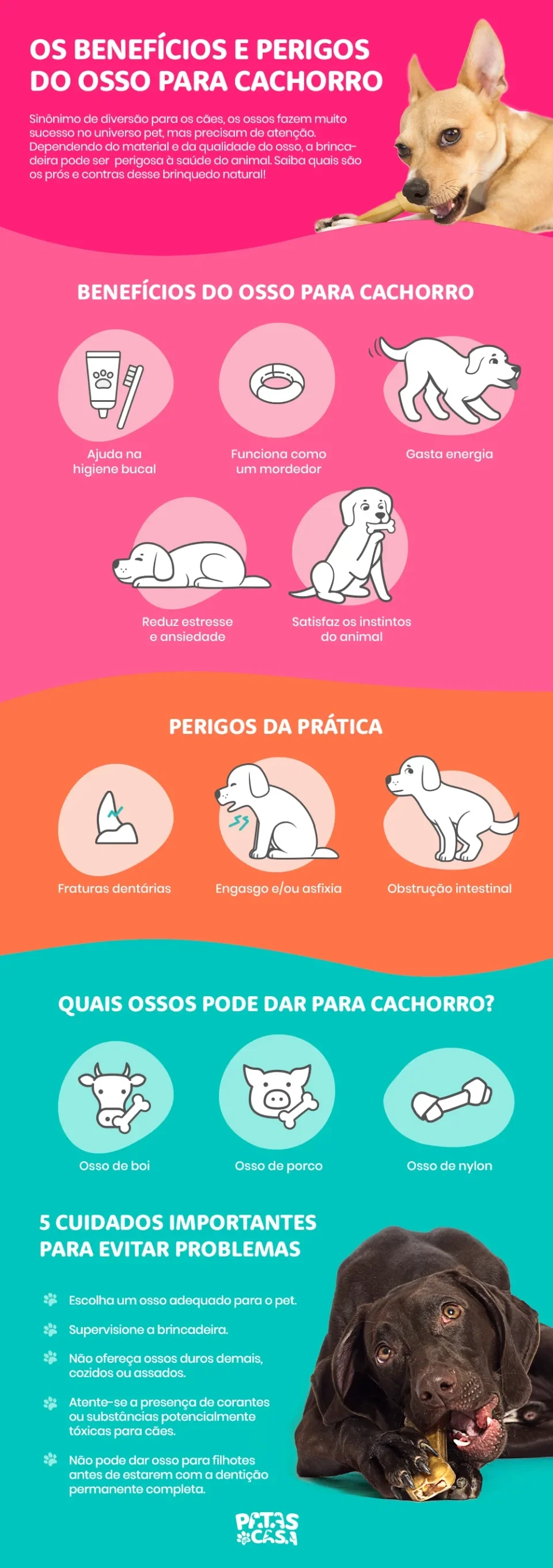 Infográfico mostrando benefícios e perigos do osso para cachorro