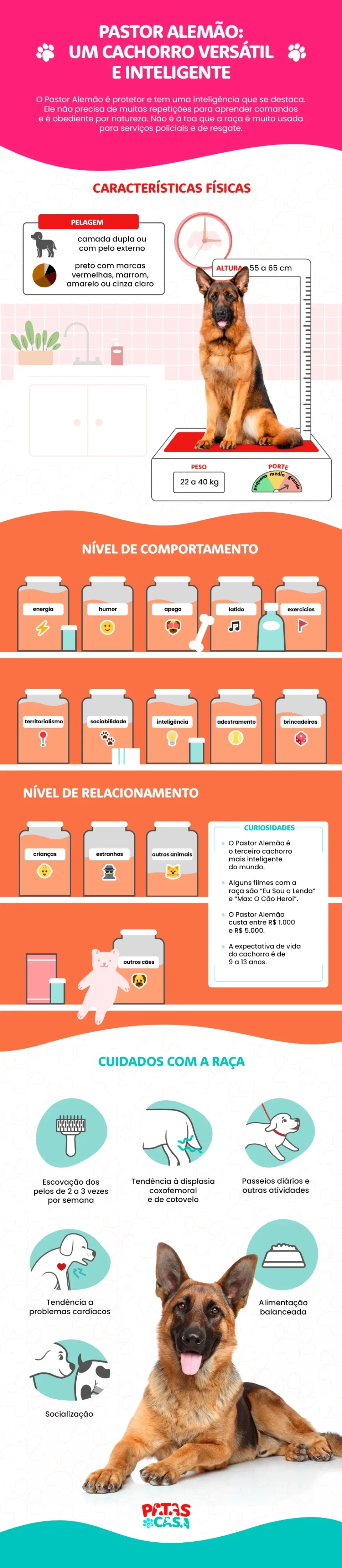 Infográfico sobre a raça Pastor Alemão