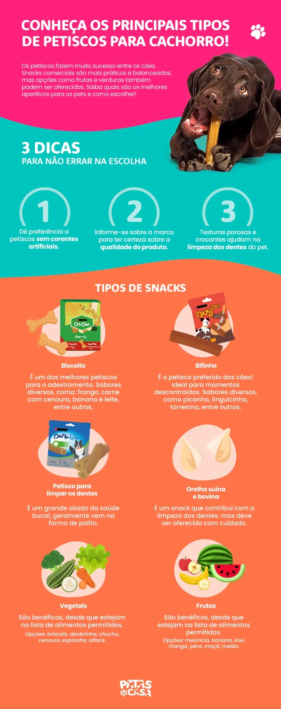 Infográfico mostrando dicas para comprar petisco para cachorro e com uma lista de seis opções de snacks ilustrados