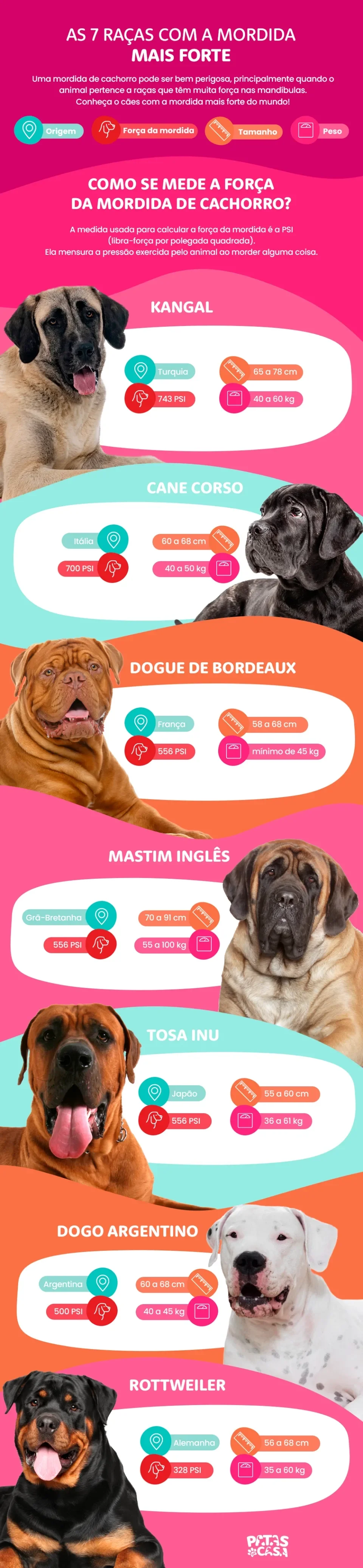 Infográfico com as raças de cachorro com a mordida mais forte