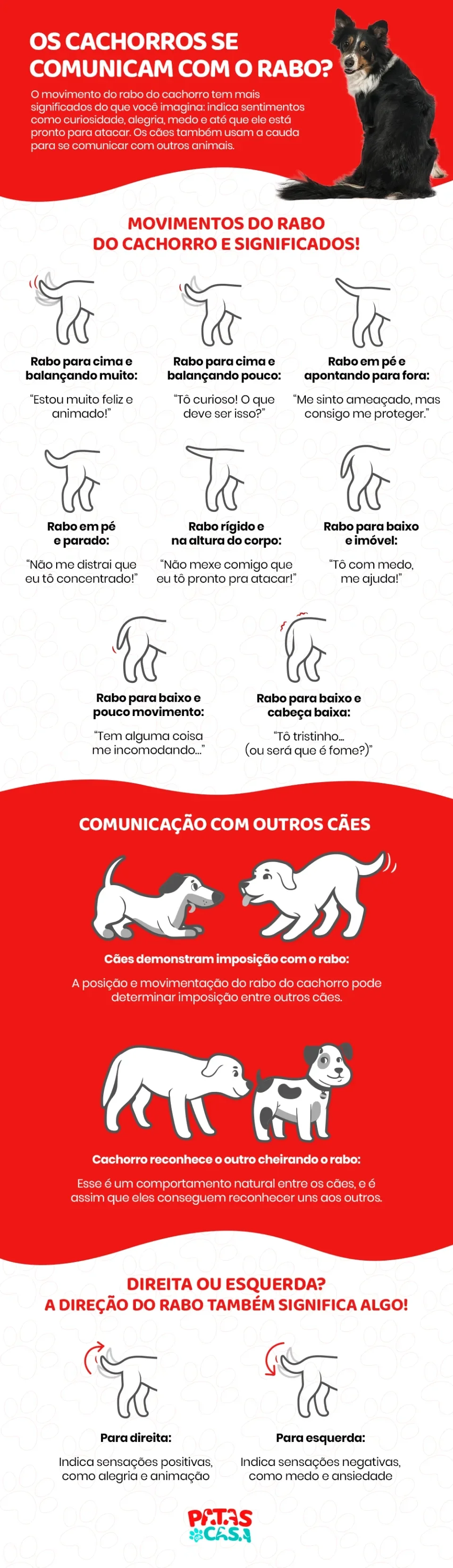 Infográfico mostrando como os cachorros se comunicam com o rabo