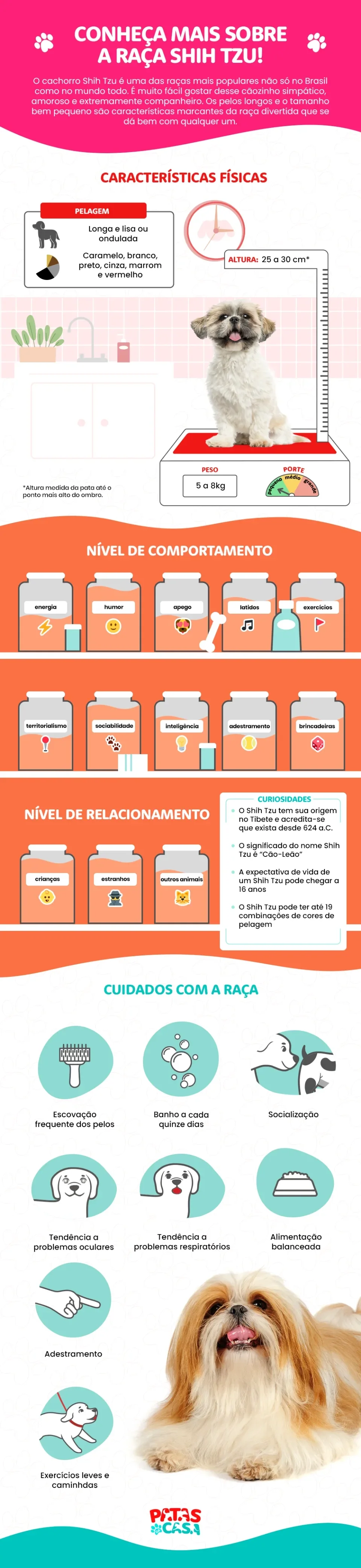 Infográfico com as principais informações sobre a raça Shih Tzu