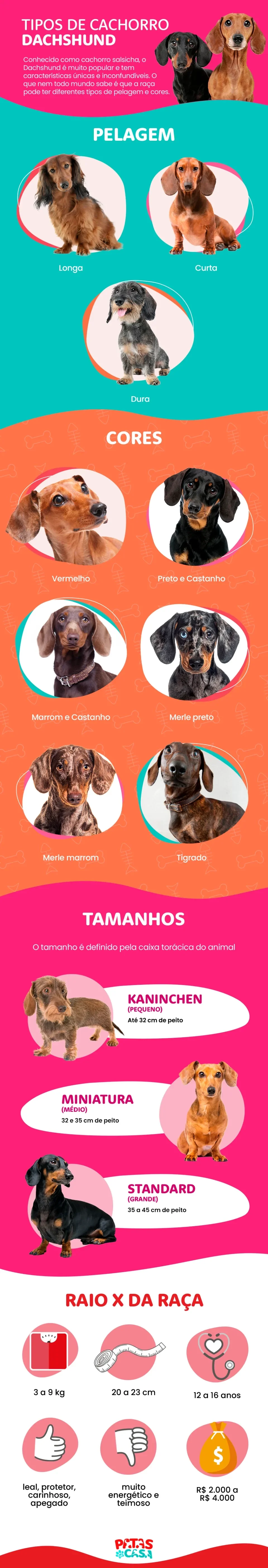 Bloco informativo mostrando quais são os tipos de Dachshund conforme a pelagem, cor e tamanho