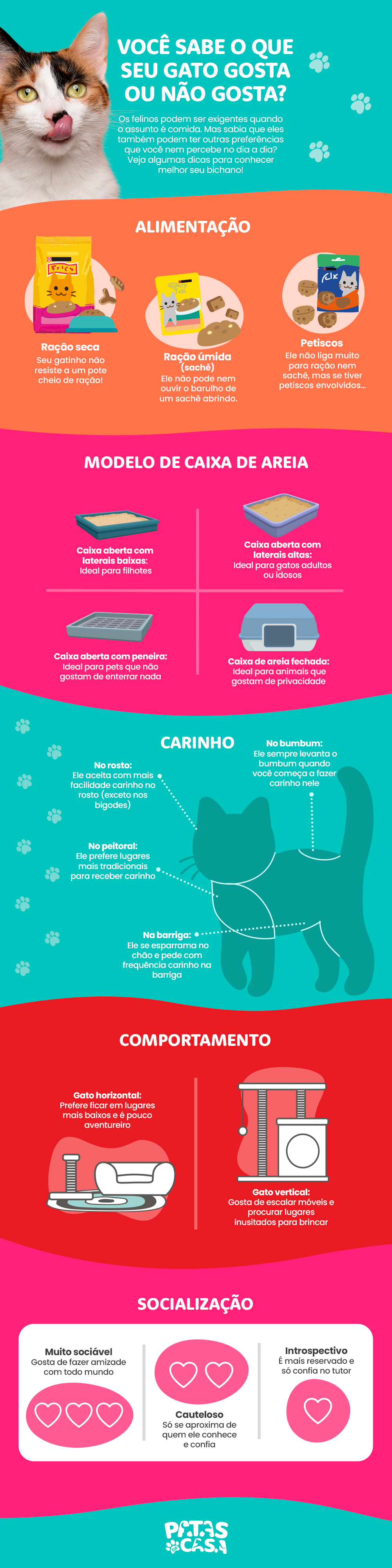 Infográfico de gato