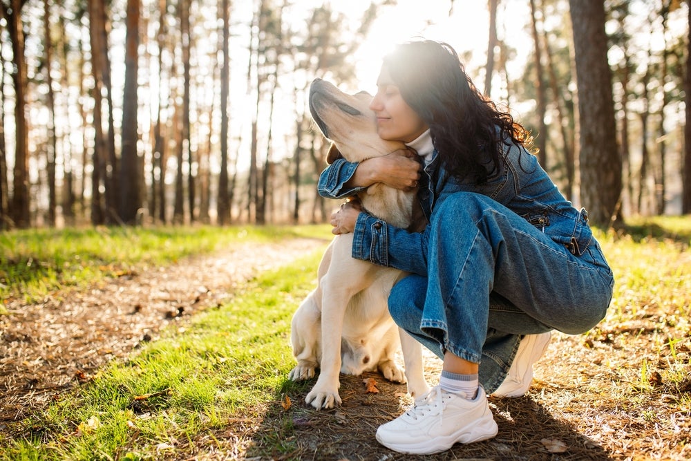 Mulher abraçando cachorro Labrador em parque no pô do sol