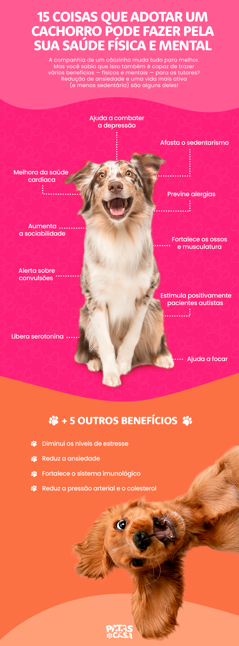 Infográfico com blocos mostrando os benefícios de adotar cachorro