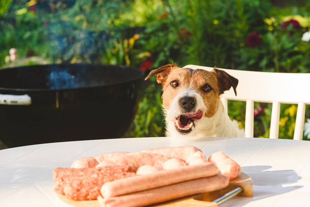 Cão próximo de uma salsicha e outros embutidos