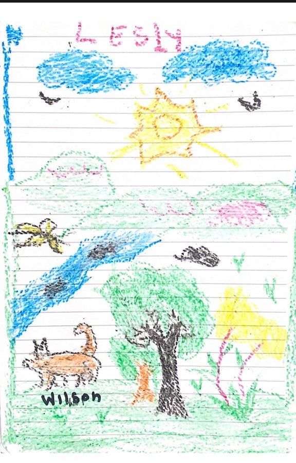 Imagem desenhada por uma criança do cachorro Wilson na floresta