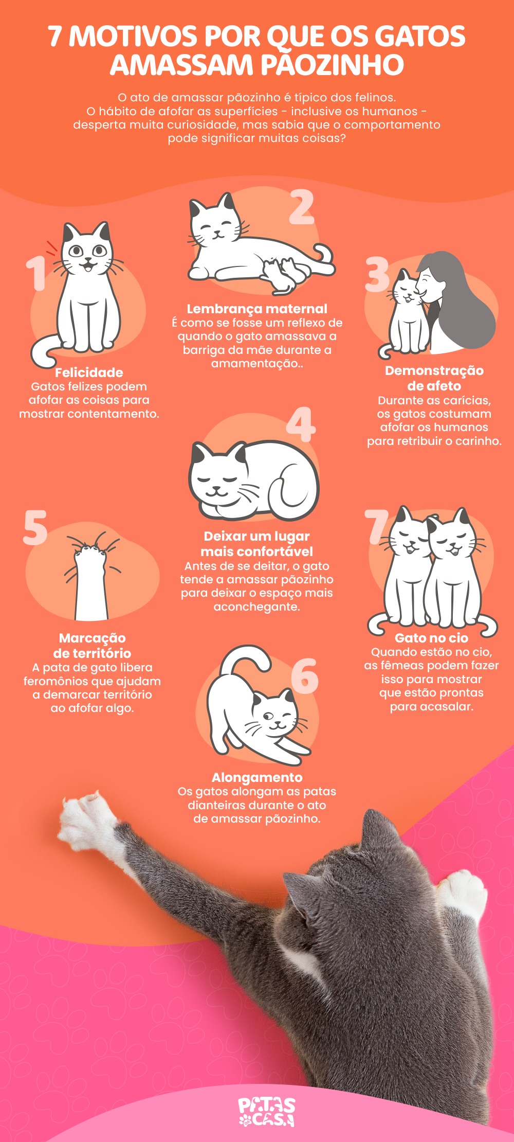 Bloco informativo mostrando sete razões por trás de um gato amassando pãozinho