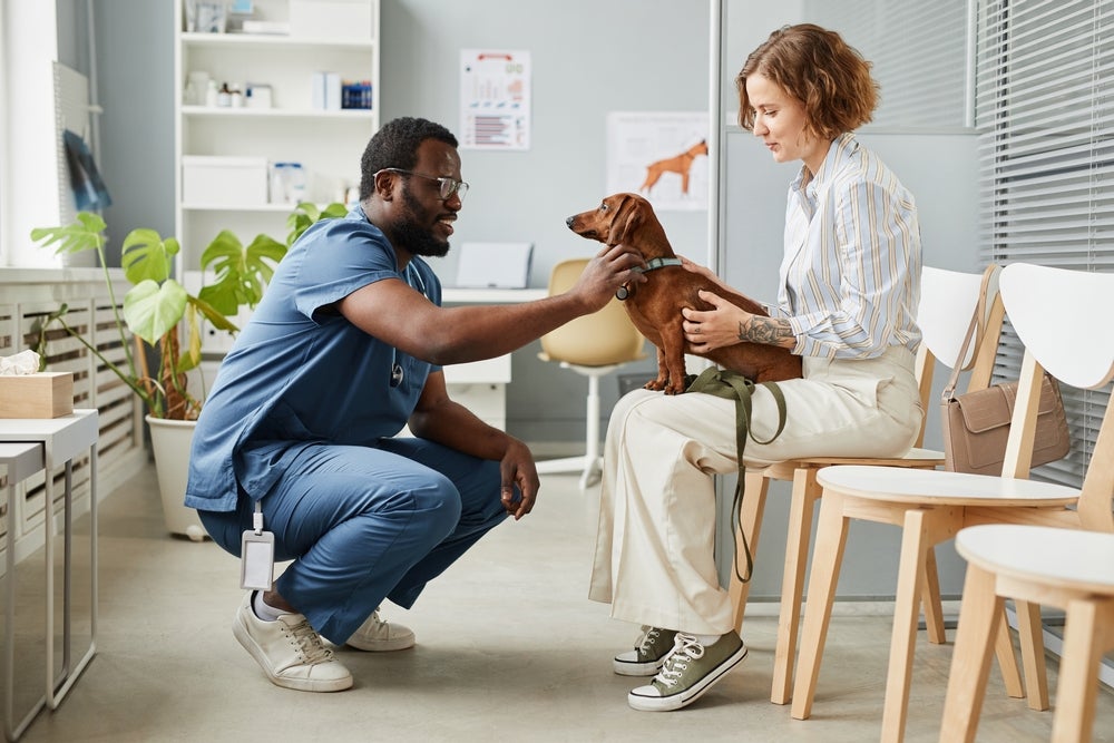 Médico veterinário no consultório com um cachorro e sua tutora